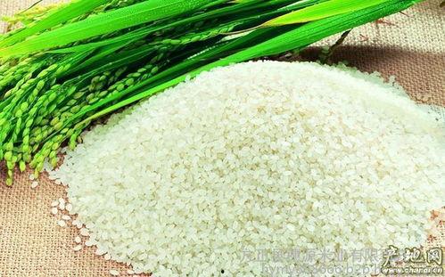 绿色大米爆料方法视频大全,视频大全解析 第1张 绿色大米爆料方法视频大全,视频大全解析 第1张