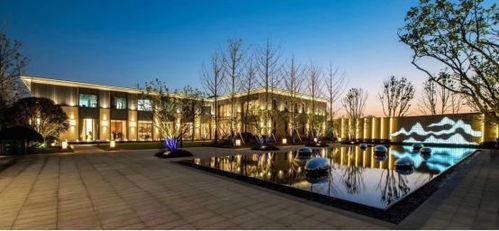 合肥豪宅大爆料最新消息,最新动态与独家爆料一览无余  第1张