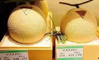 网红吃的网纹瓜,网纹瓜,口感与颜值并存的美味之旅 第1张 网红吃的网纹瓜,网纹瓜,口感与颜值并存的美味之旅 第1张