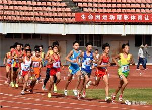 最新体育重大爆料,体育界最新惊天爆料，真相令人震惊！  第3张